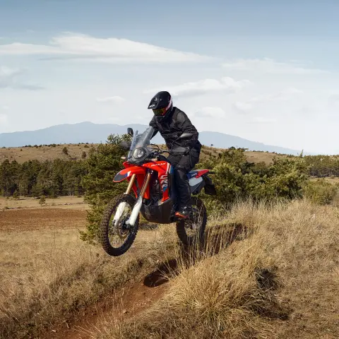 Motos Honda CRF300L et CRF300 Rally.