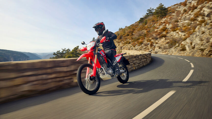 Moto Honda CRF300L et CRF300 Rally.