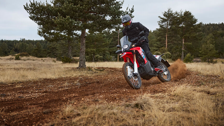 Moto Honda CRF300L et CRF300 Rally.