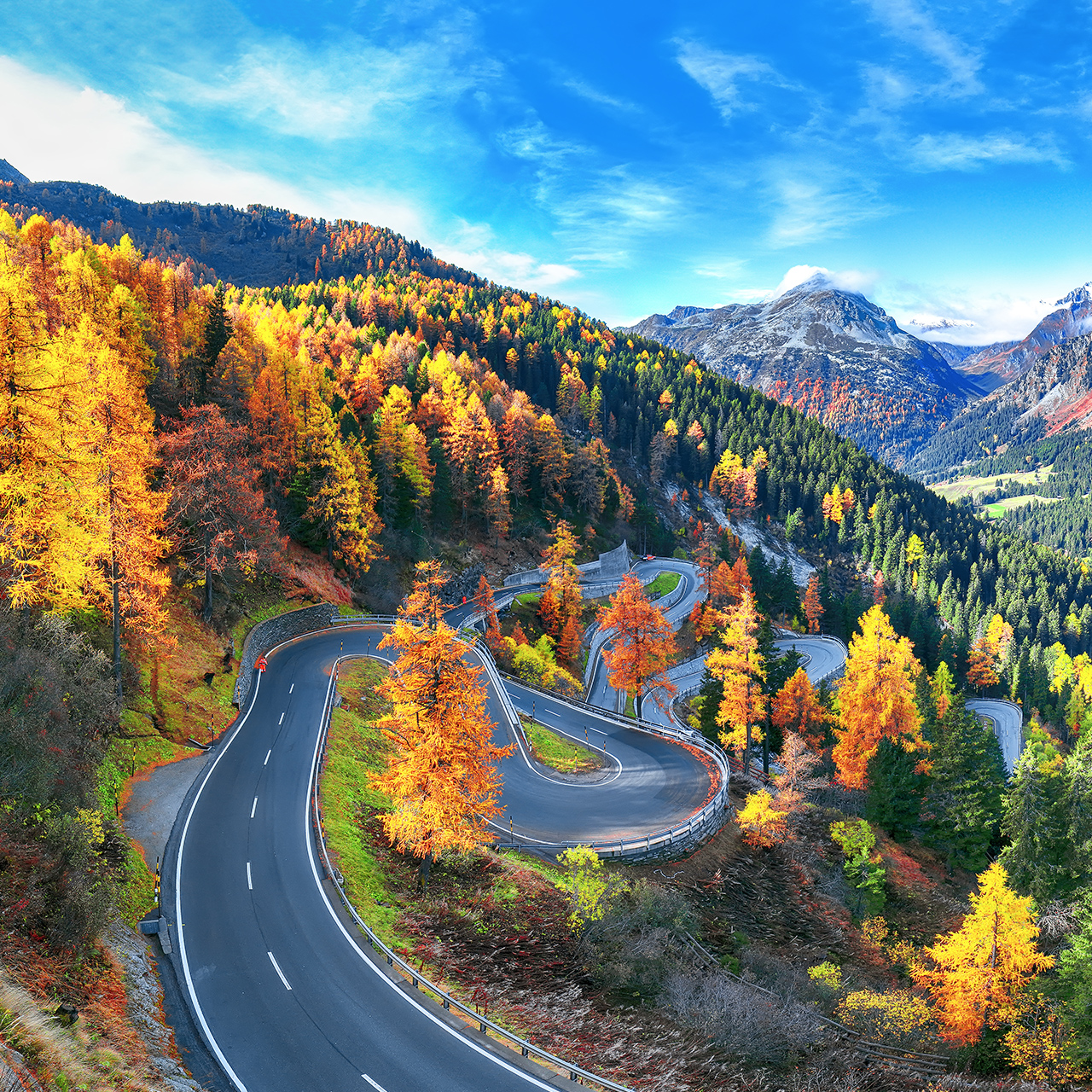 Vue imprenable sur la route du col de Maloja à l’automne. Scène aux couleurs d’automne dans les Alpes suisses. Lieu : Col de Maloya, région de l’Engadine, canton des Grisons, Suisse, Europe