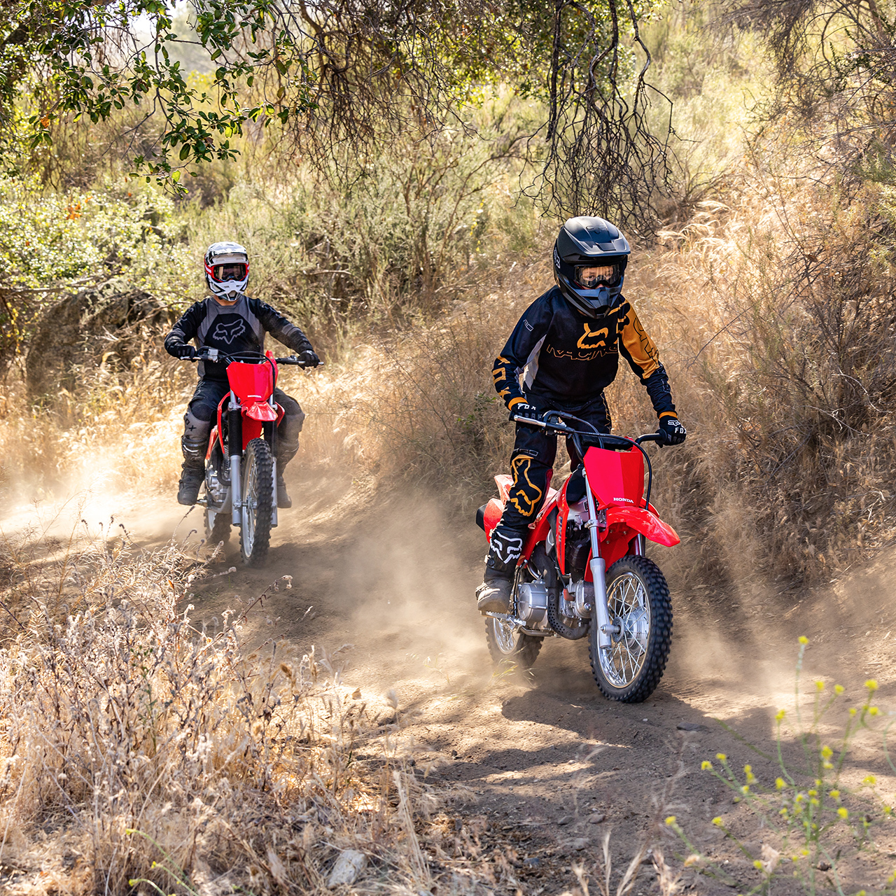 CRF110F