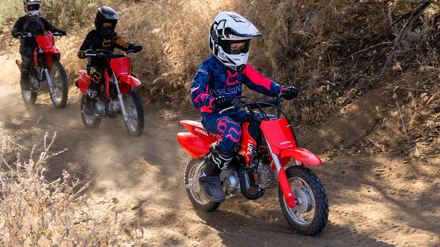 Famille CRF50F
