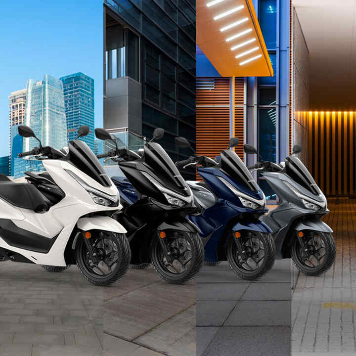Gamme PCX